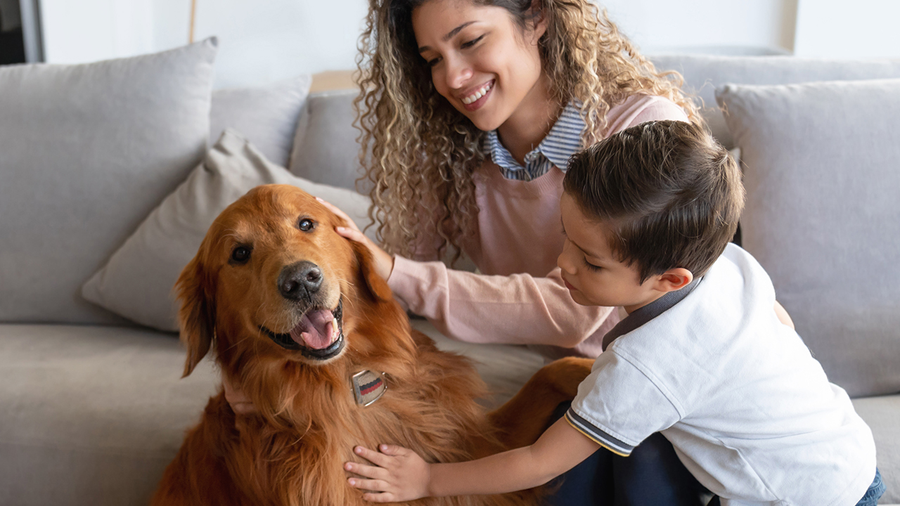 Smiling woman and young boy sit on a couch and look down while petting a golden retriever. 
