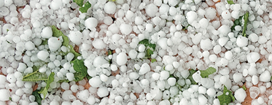 Be prepared for hail: infographic PDF