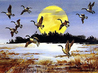 Marshall W. Joyce, "Geese in Flight"